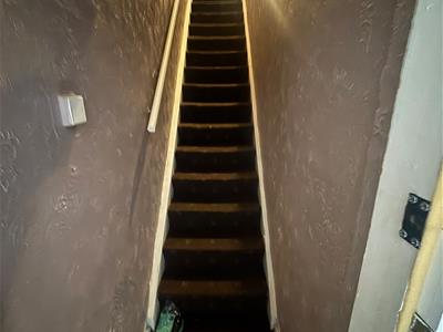 Picture 7